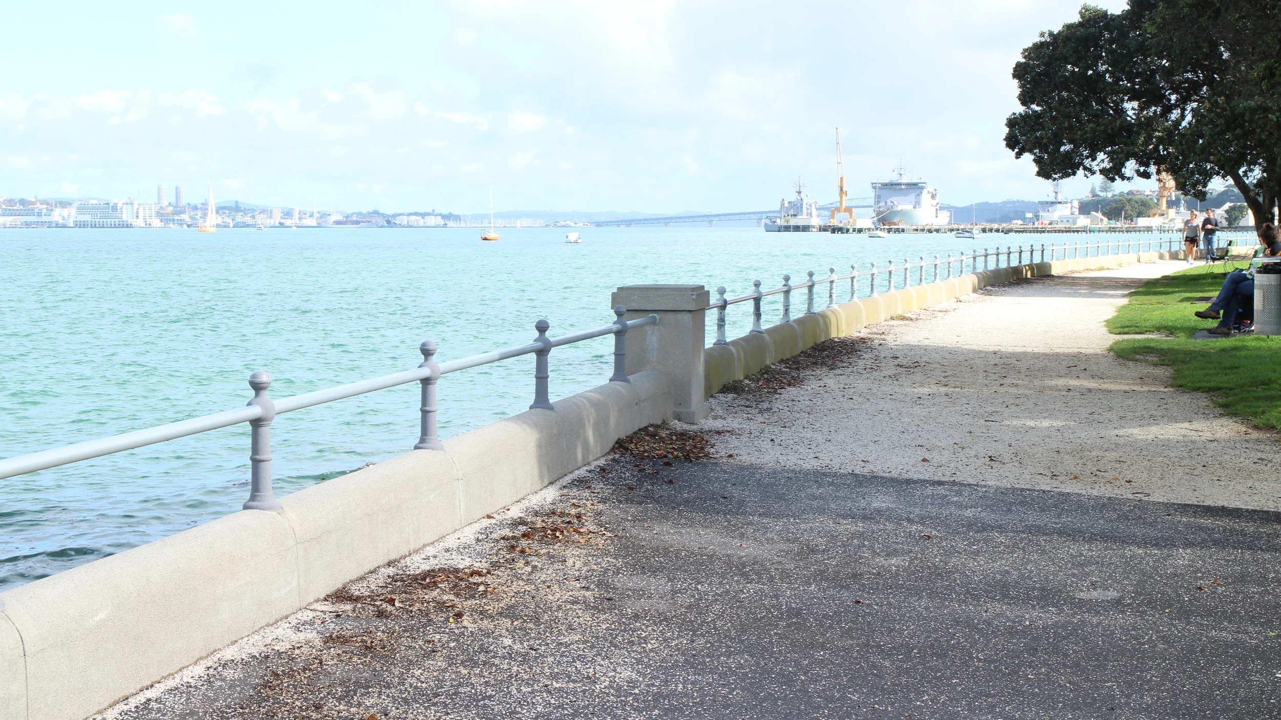 Coronation Seawall Queen's Parade and shell path