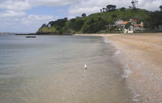 North Head from Cheltenham Beach