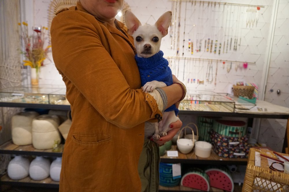 This is Brad Pitt, the dog of the designer of Christy’s jewelry.