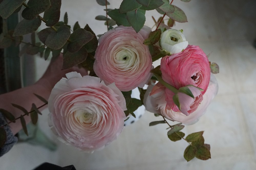 DSC03205.jpg