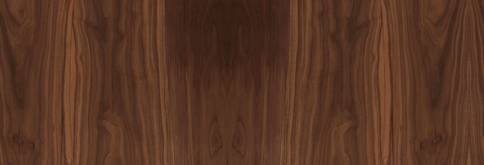 veneer-2.jpg
