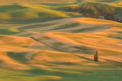 Taking Us Where We Need To Go