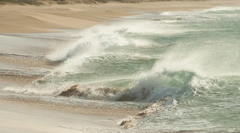 The sadness of the sea