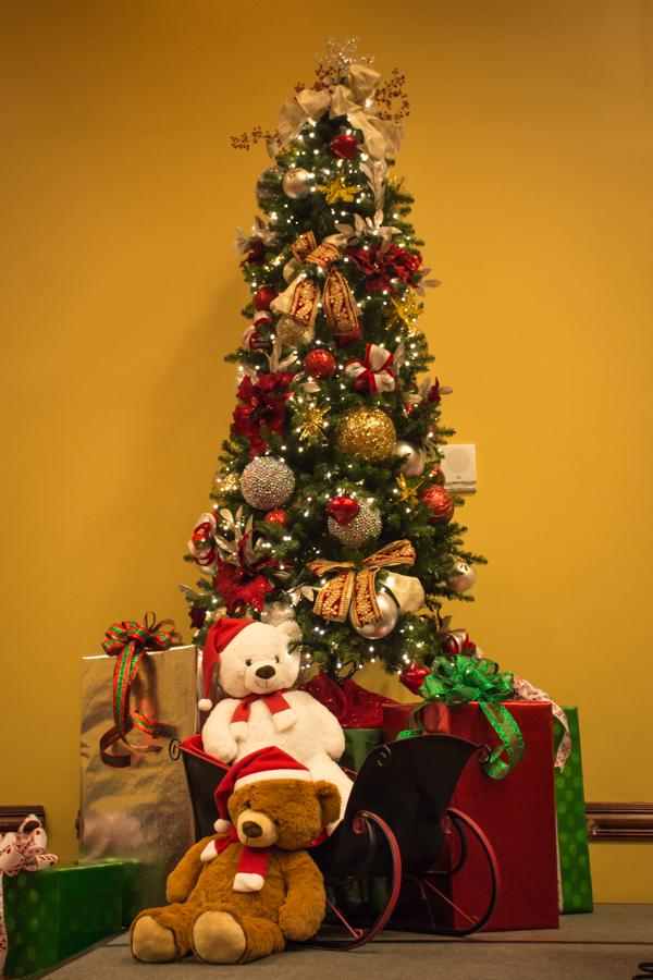 ProStudio7_TennesseeReadingAssociation-8562.jpg