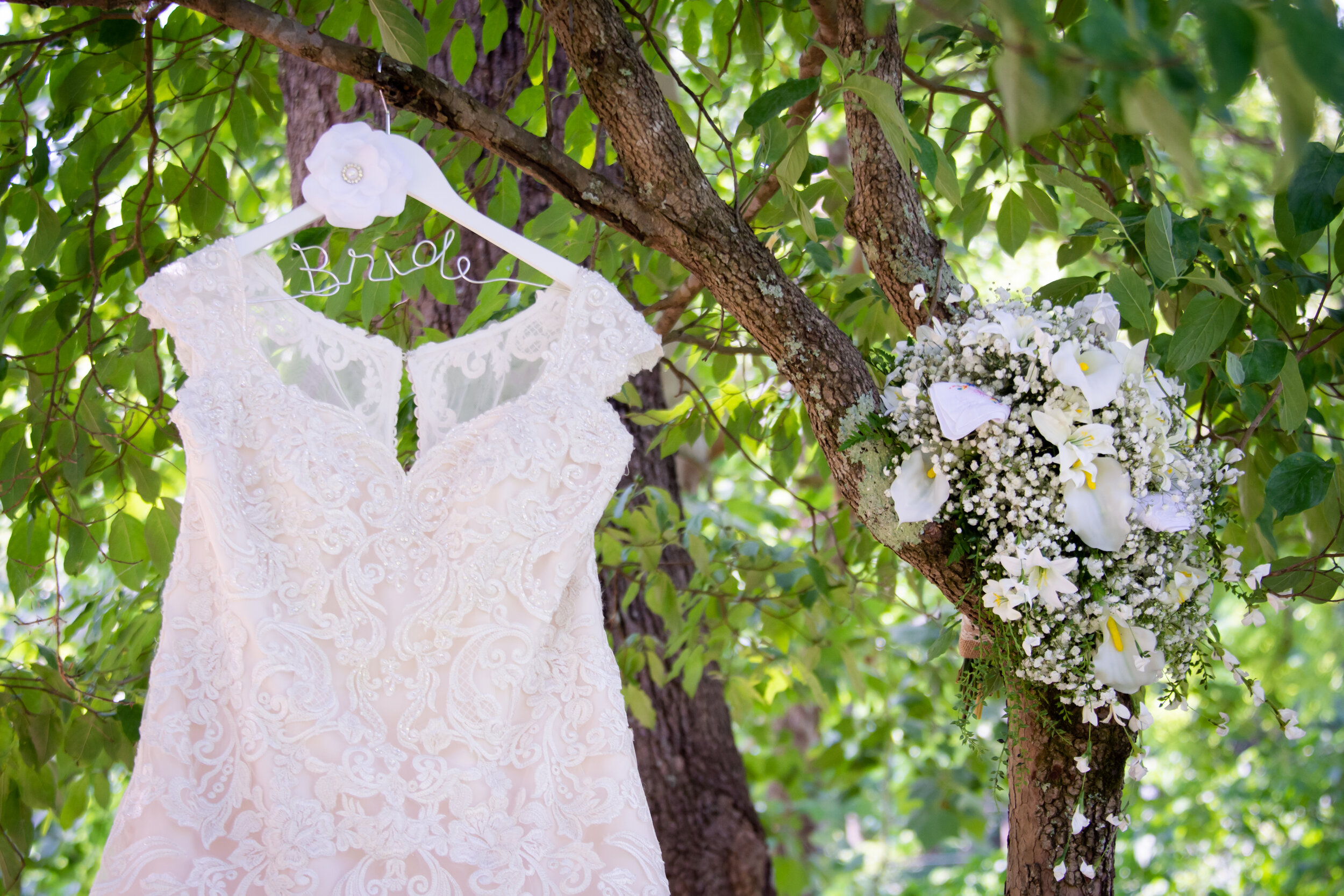 ProStudio7_KayleeTrentWedding-5906.jpg