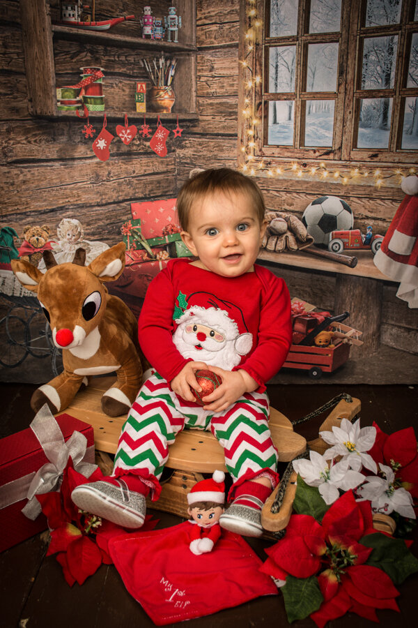 ProStudio7_Christmas-2.jpg