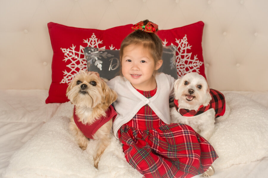 ProStudio7_Christmas-5-3.jpg