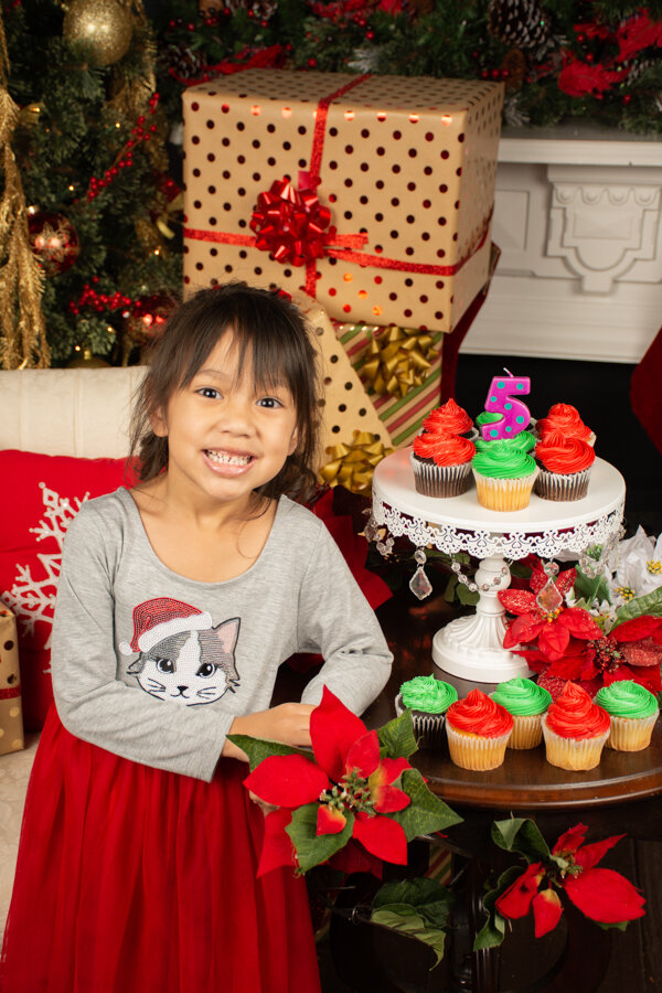 ProStudio7_Christmas-5496.jpg