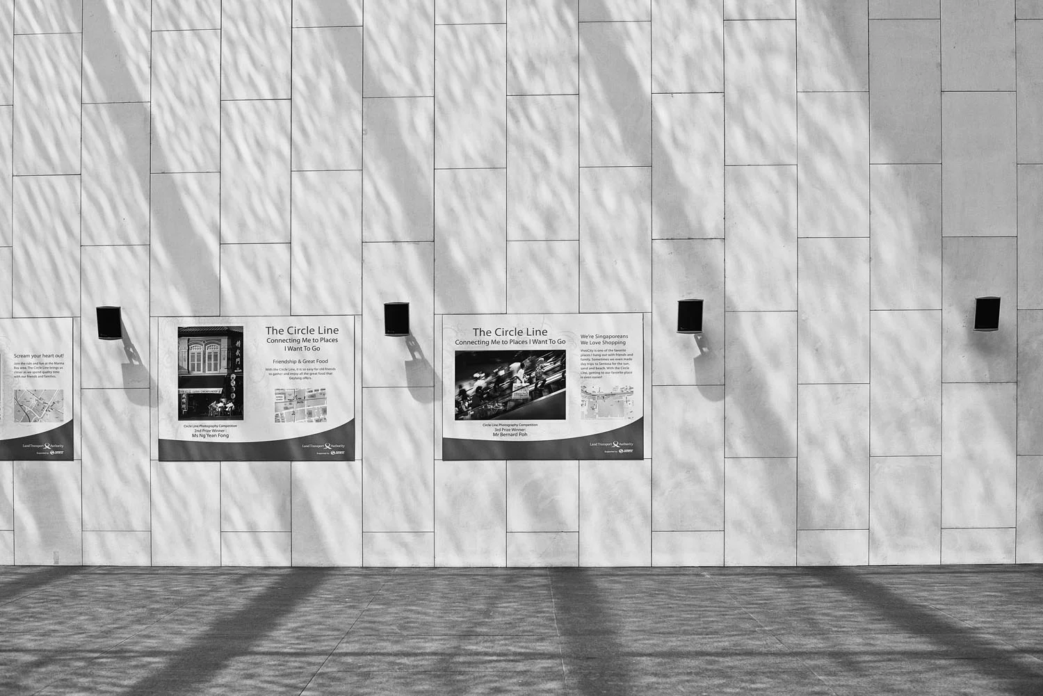 _DSC7946_web.jpg