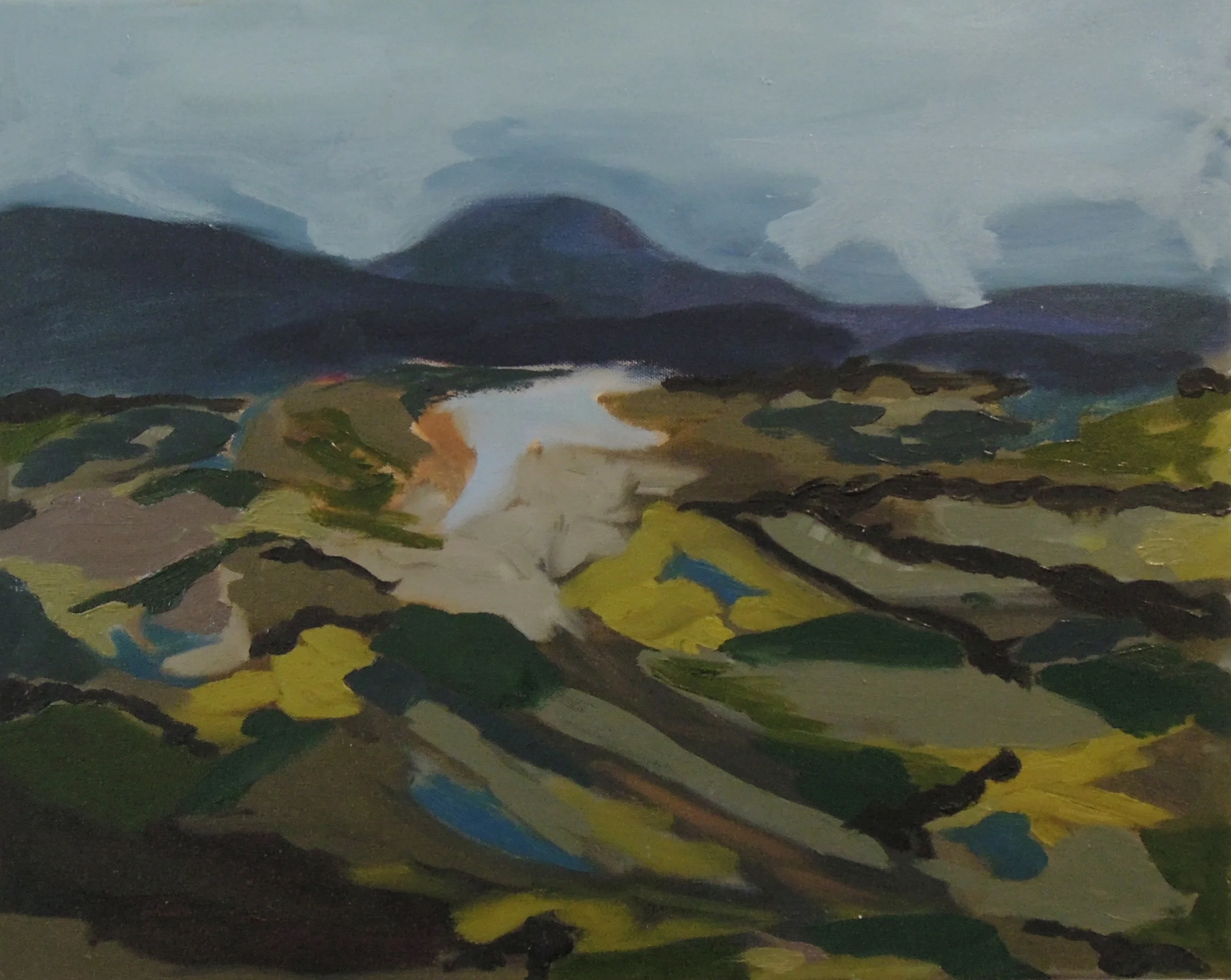  OIl on canvas  16 x 20 inches 