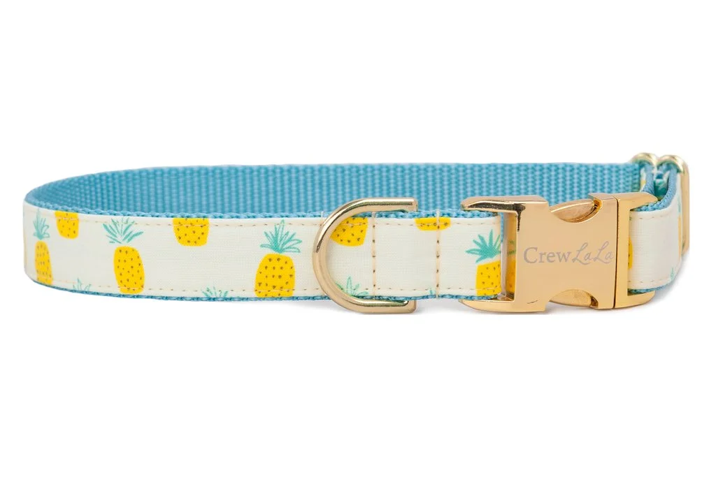 Charleston Gift Ideas - pineapple dog collar