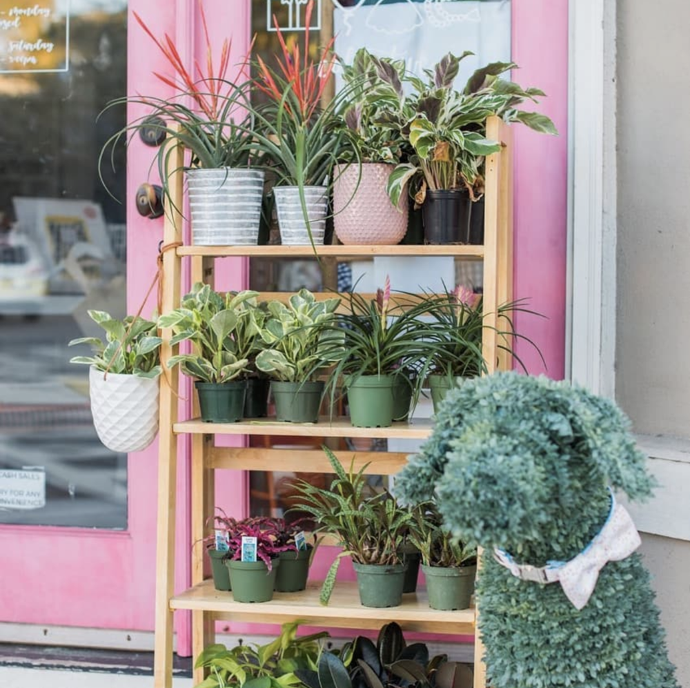 Meeting Green in Downtown Charleston