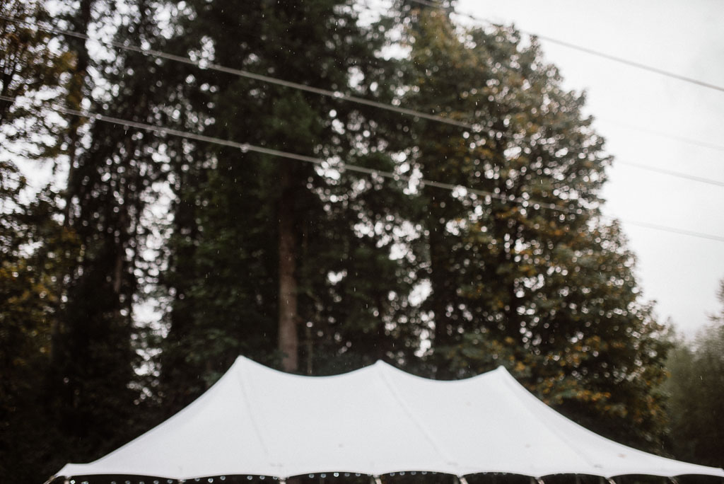Intimate wedding seattle125.jpg