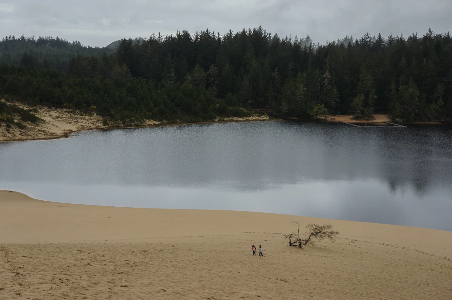 20150320_DSC04603pw.jpg