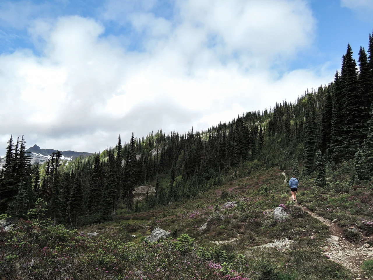 20140726_DSCN0282pw.jpg