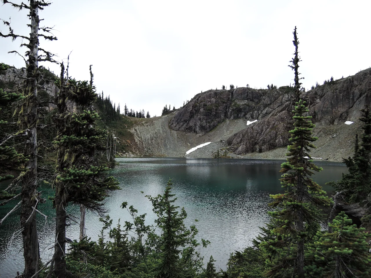 20140726_DSCN0302pw.jpg