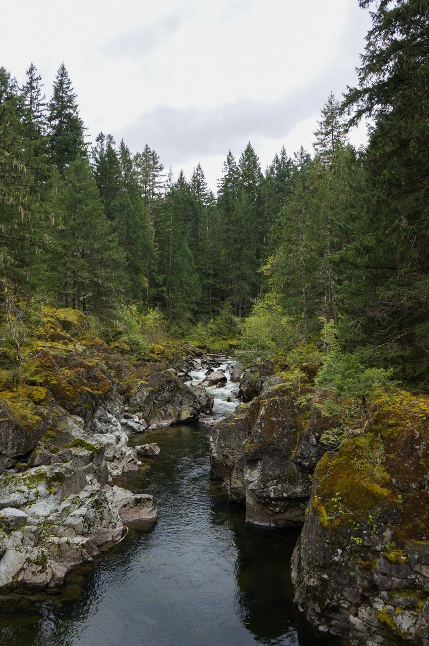  Koksilah River 