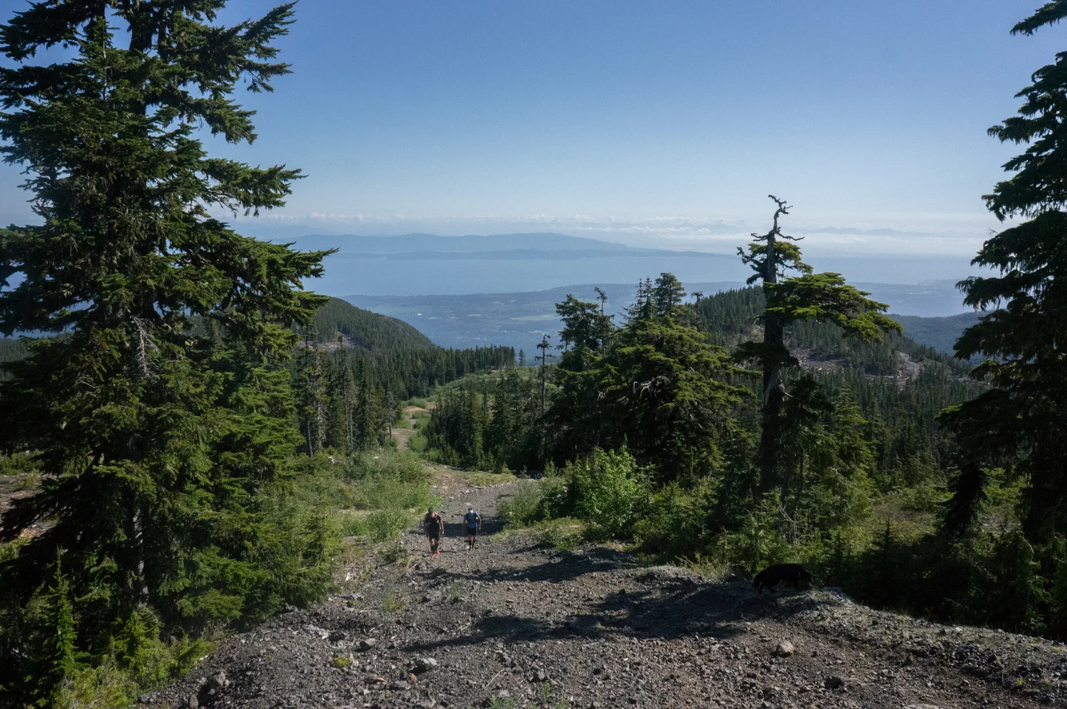 Ascending the old ski runs