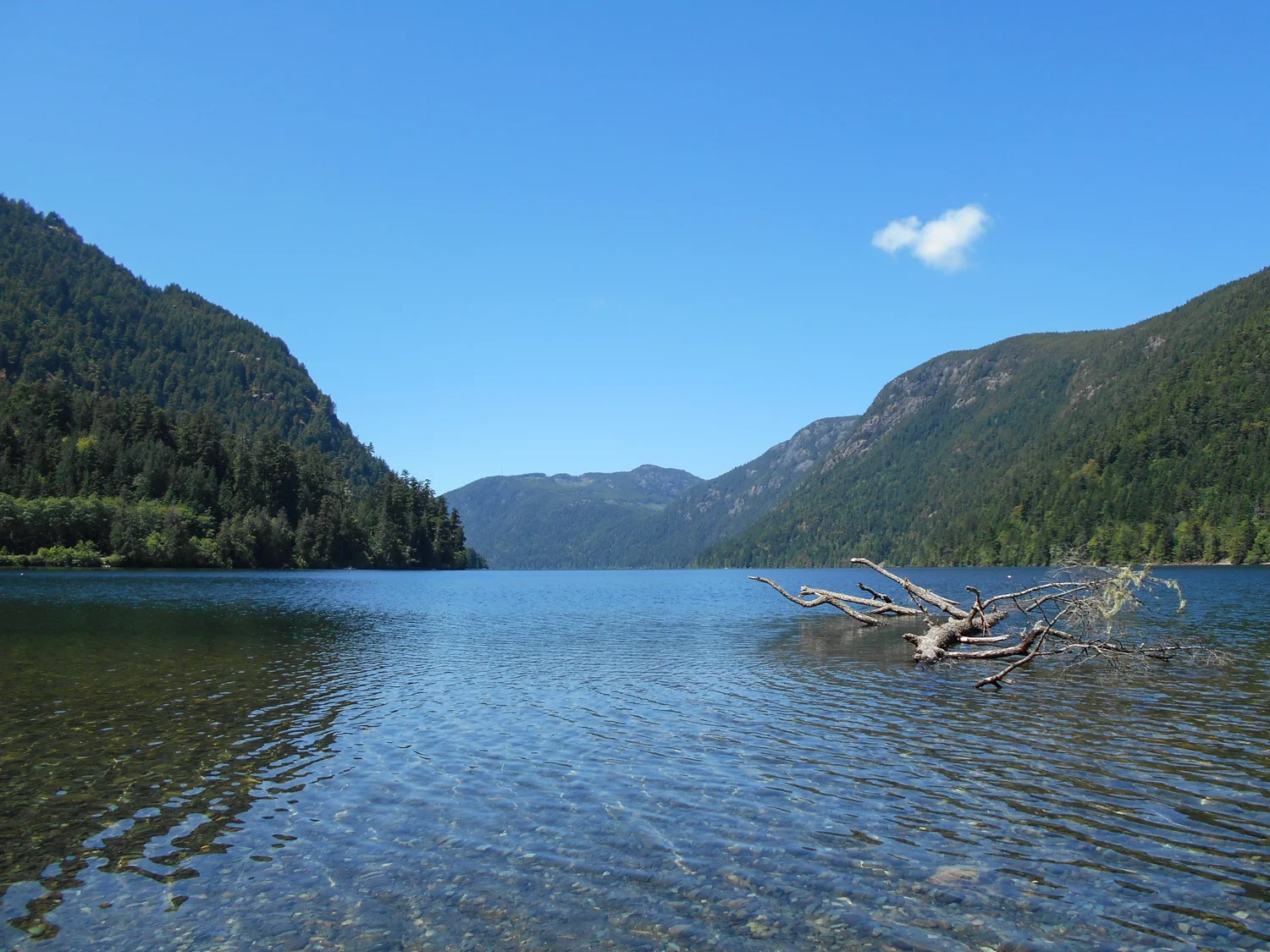 Back to the beginning and the payoff: Cameron Lake