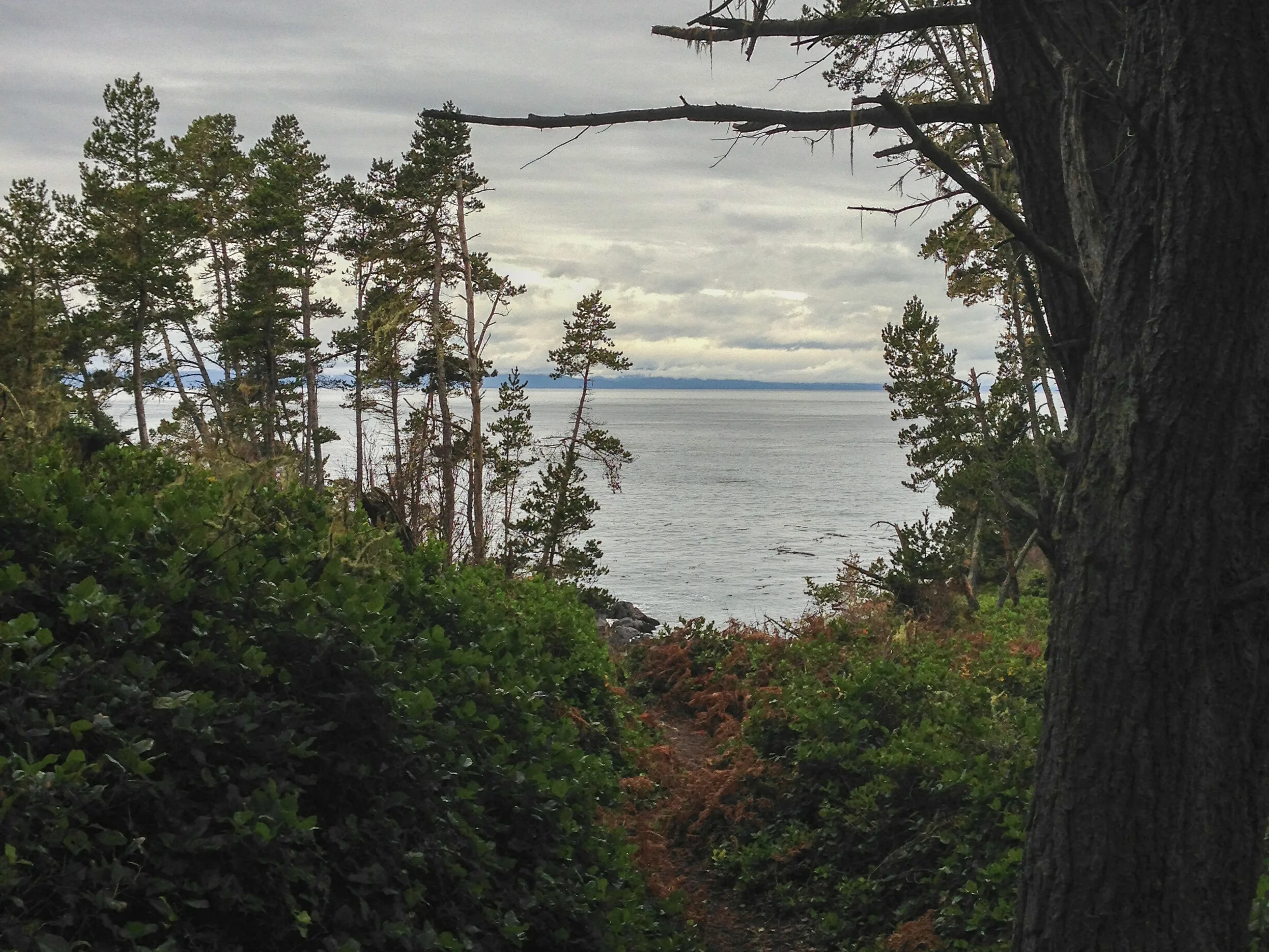 20130106-East_Sooke_Park_Run_p-3.jpg