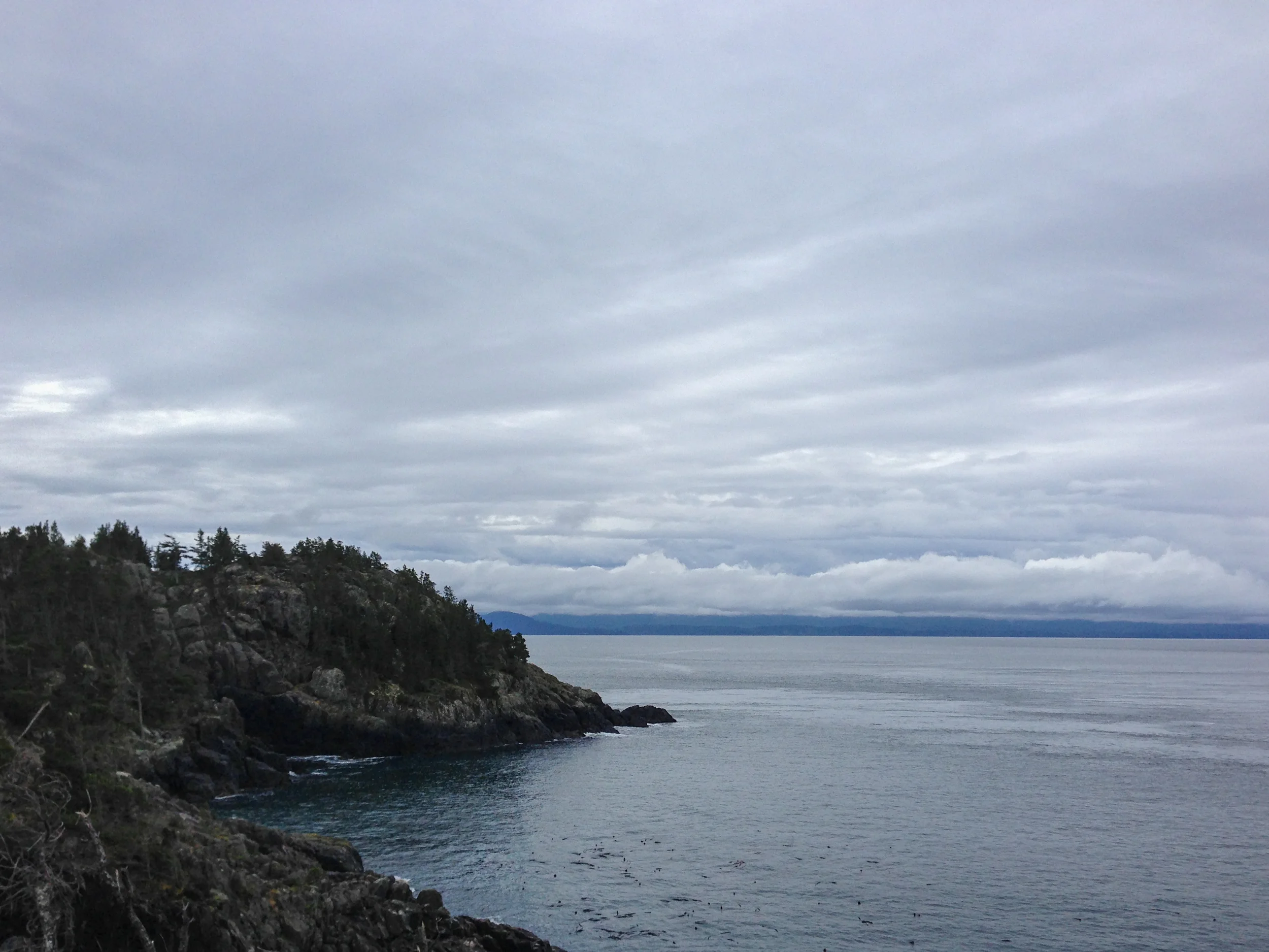 20130106-East_Sooke_Park_Run_p-5.jpg