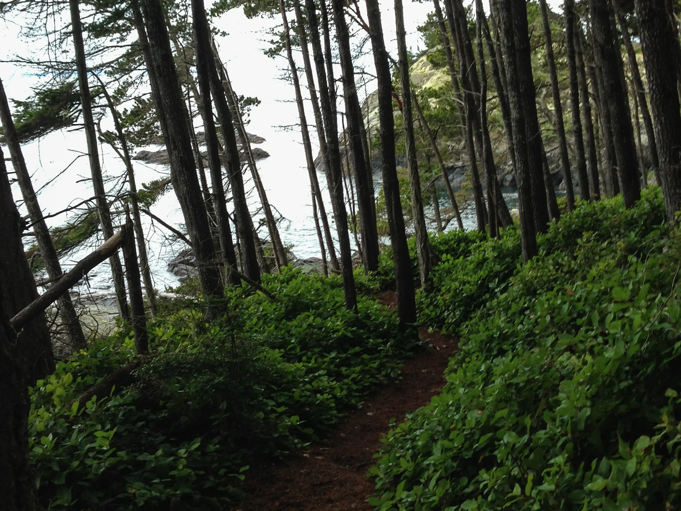 20130106-East_Sooke_Park_Run_p-10.jpg