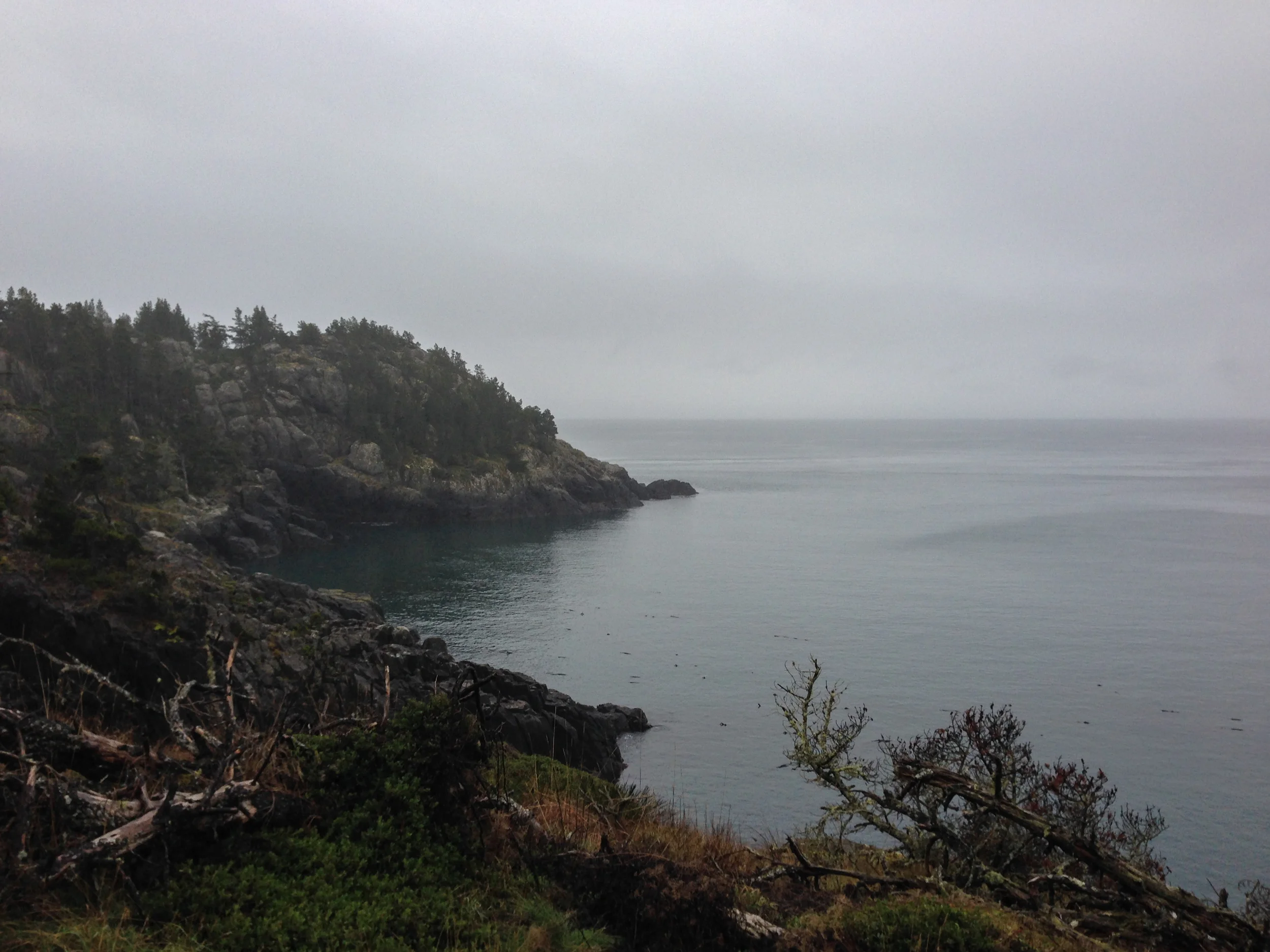 20131222-East_Sooke_Park_Run_p-2.jpg