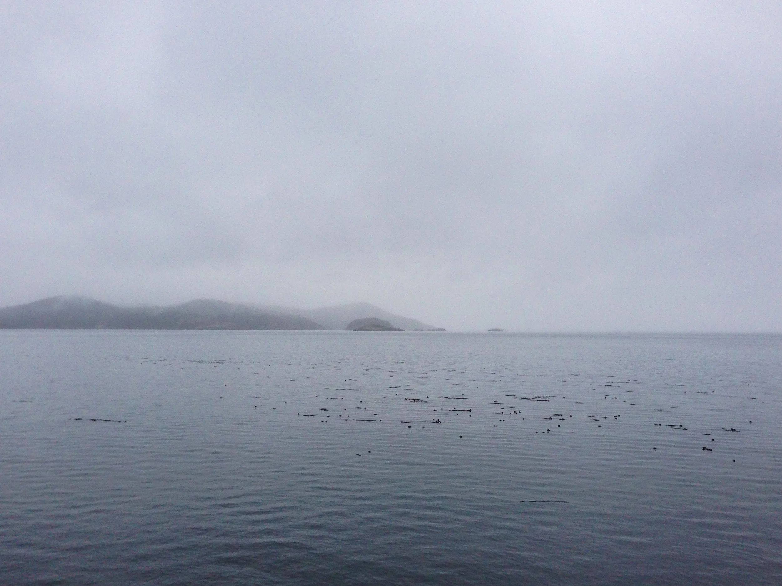 20131222-East_Sooke_Park_Run_p.jpg