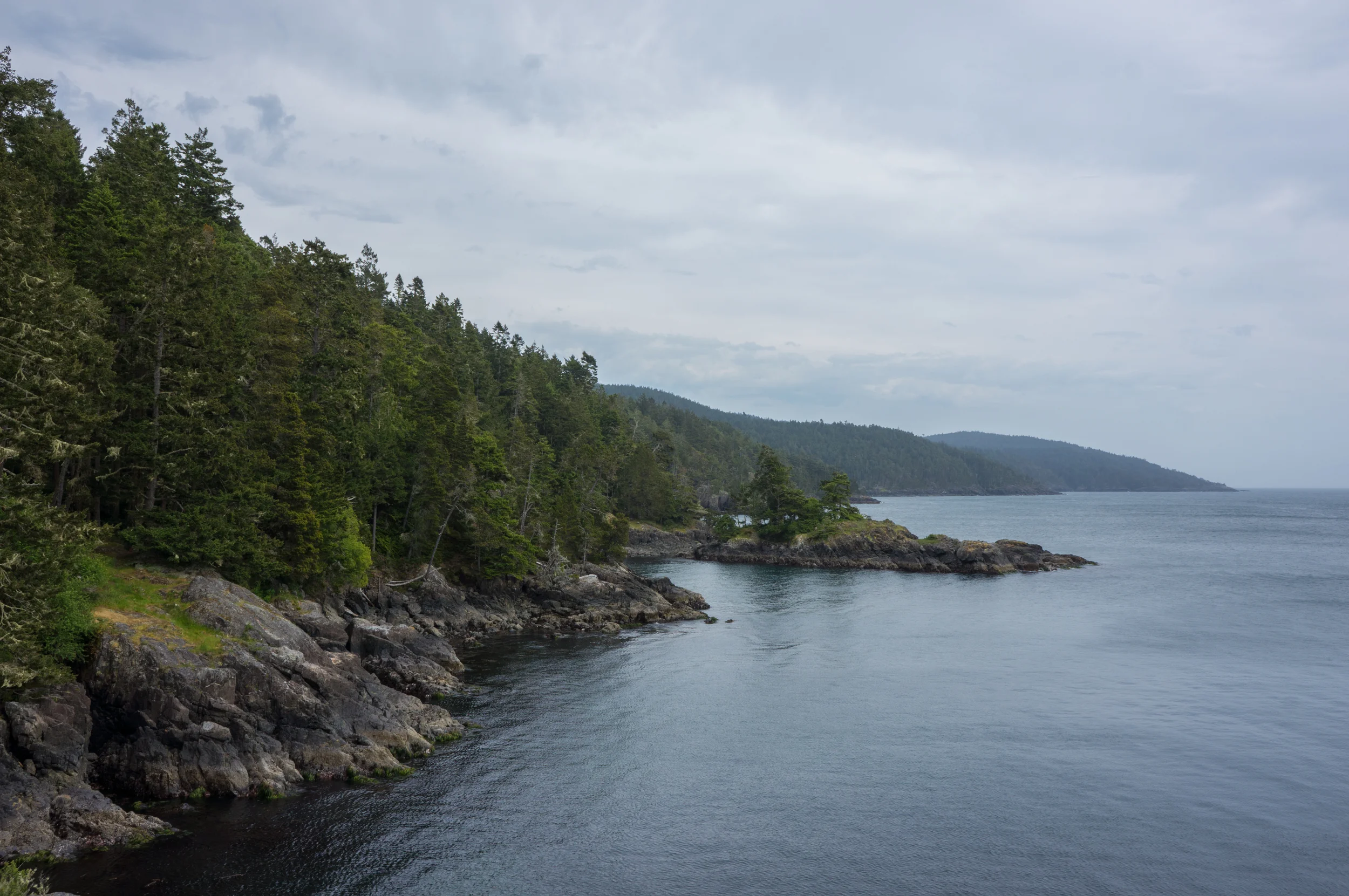 20150510_DSC05407p.jpg