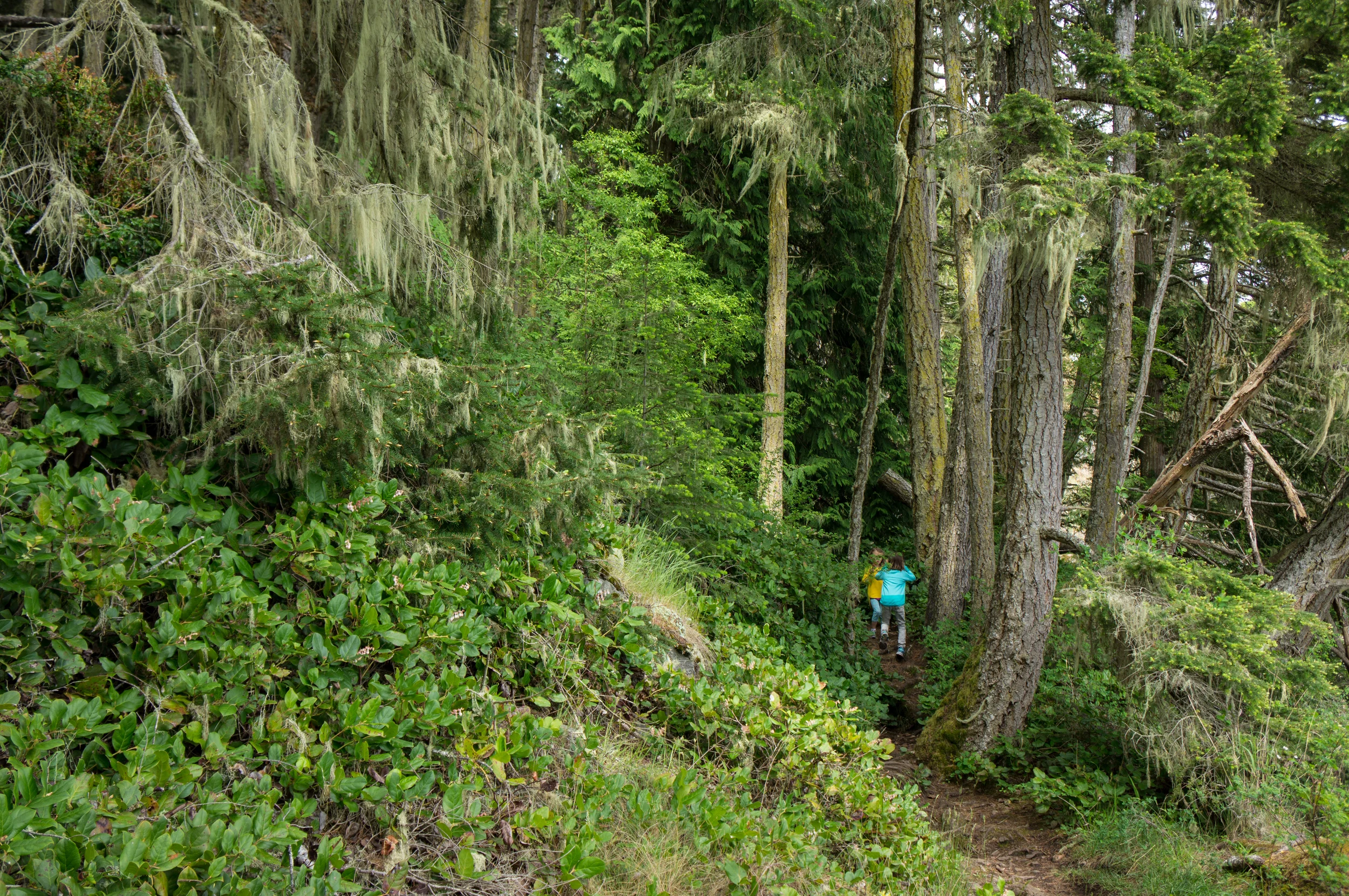 20150510_DSC05433p.jpg