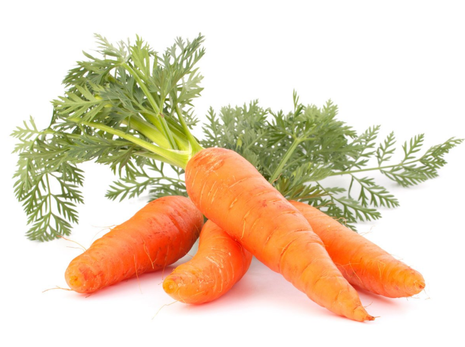 Carrot Seed Essential Oil