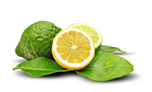 Bergamot Essential Oil (USDA certified organic)