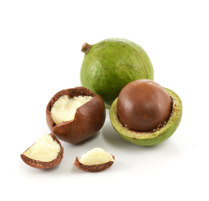 macadamia oil image.png