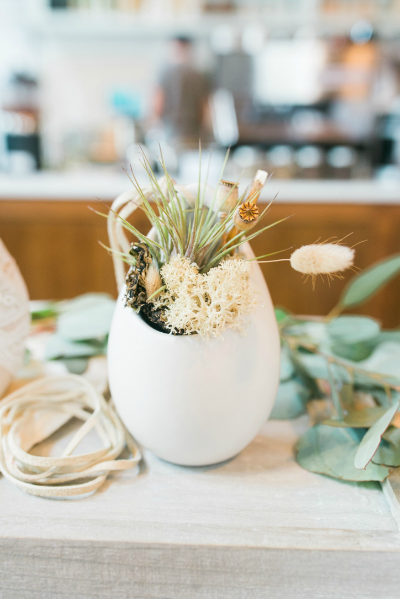 Air Plant Terrarium | The Zen Succulent | Raleigh
