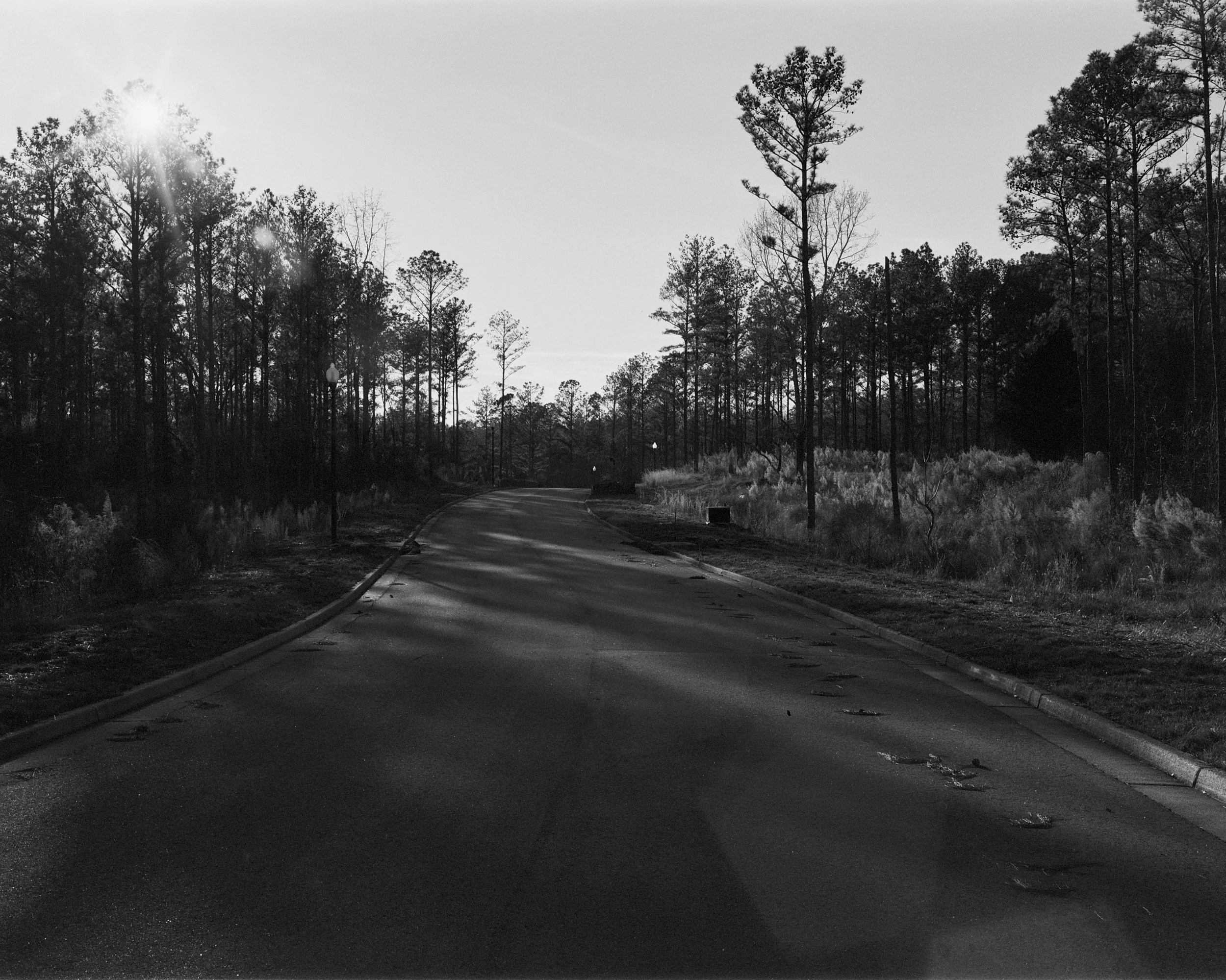 New Neighborhood.jpg