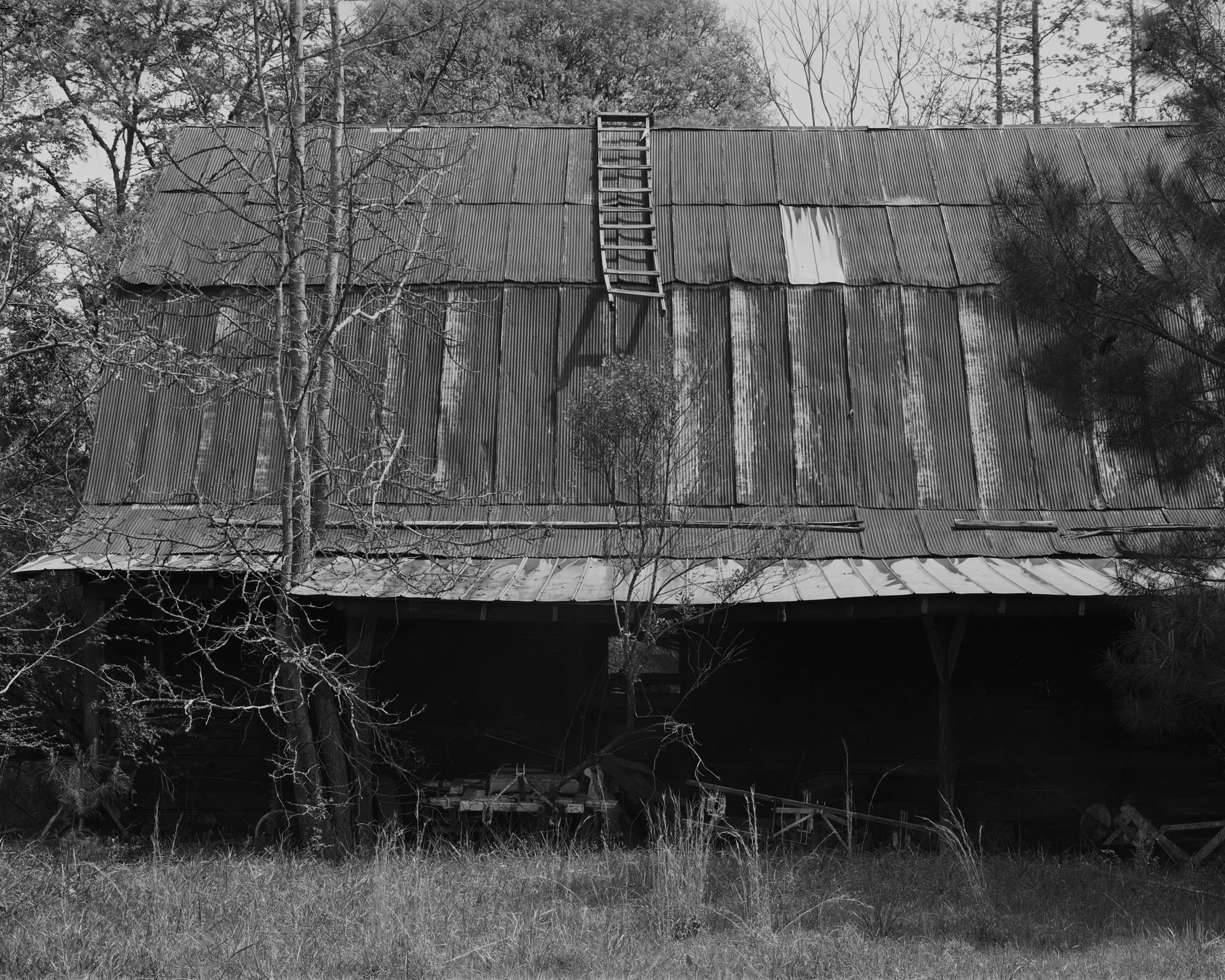 Tryin to Get to Heaven.jpg