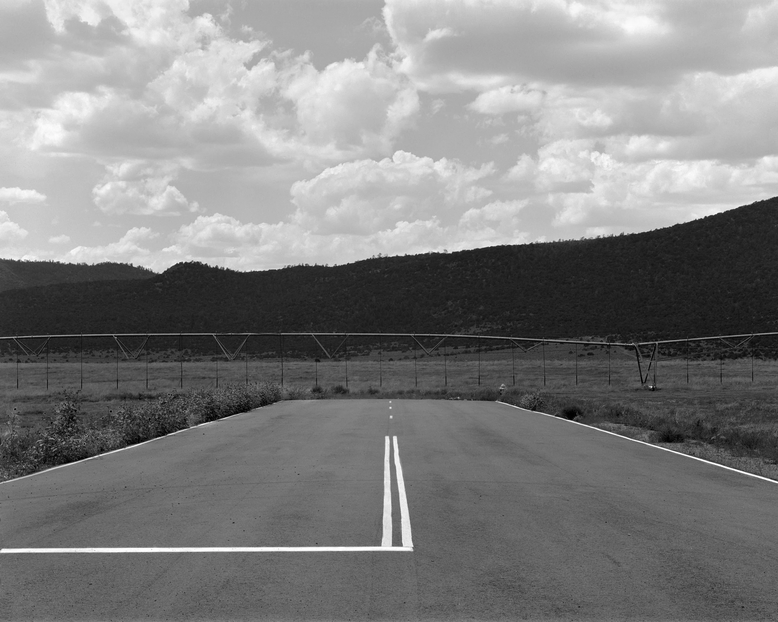 The Loss (2) copy.jpg