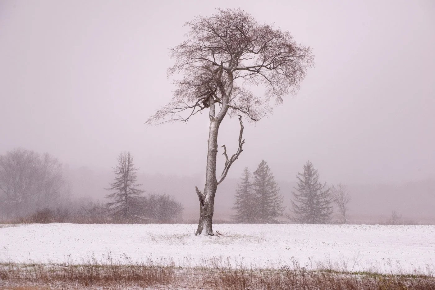untitled-6297.jpg