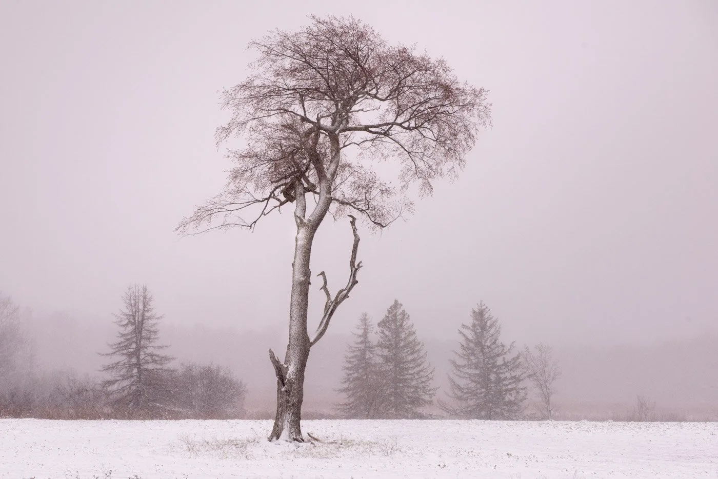 untitled-6297.jpg