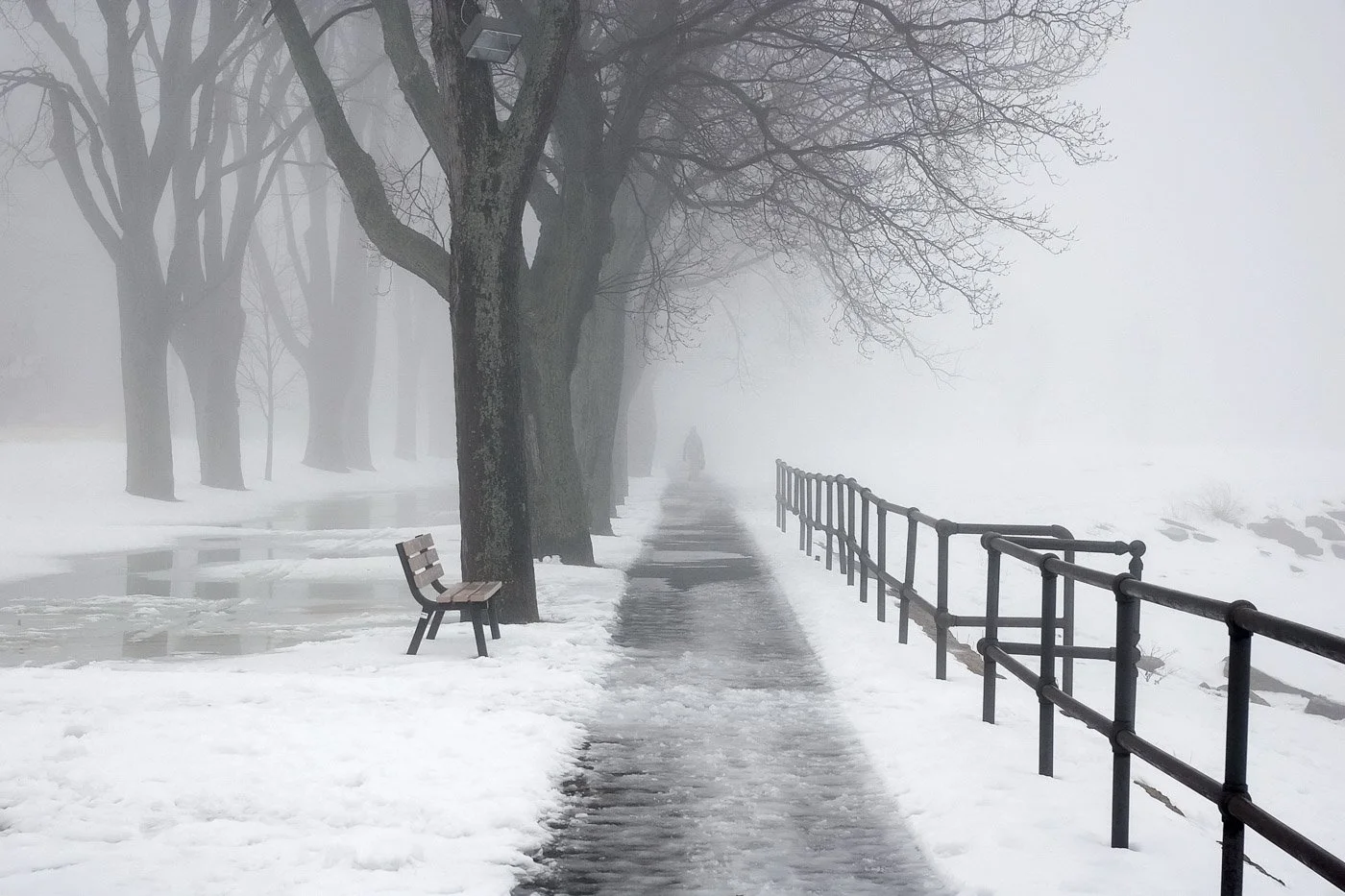 Foggy Morning_2-Edit.jpg