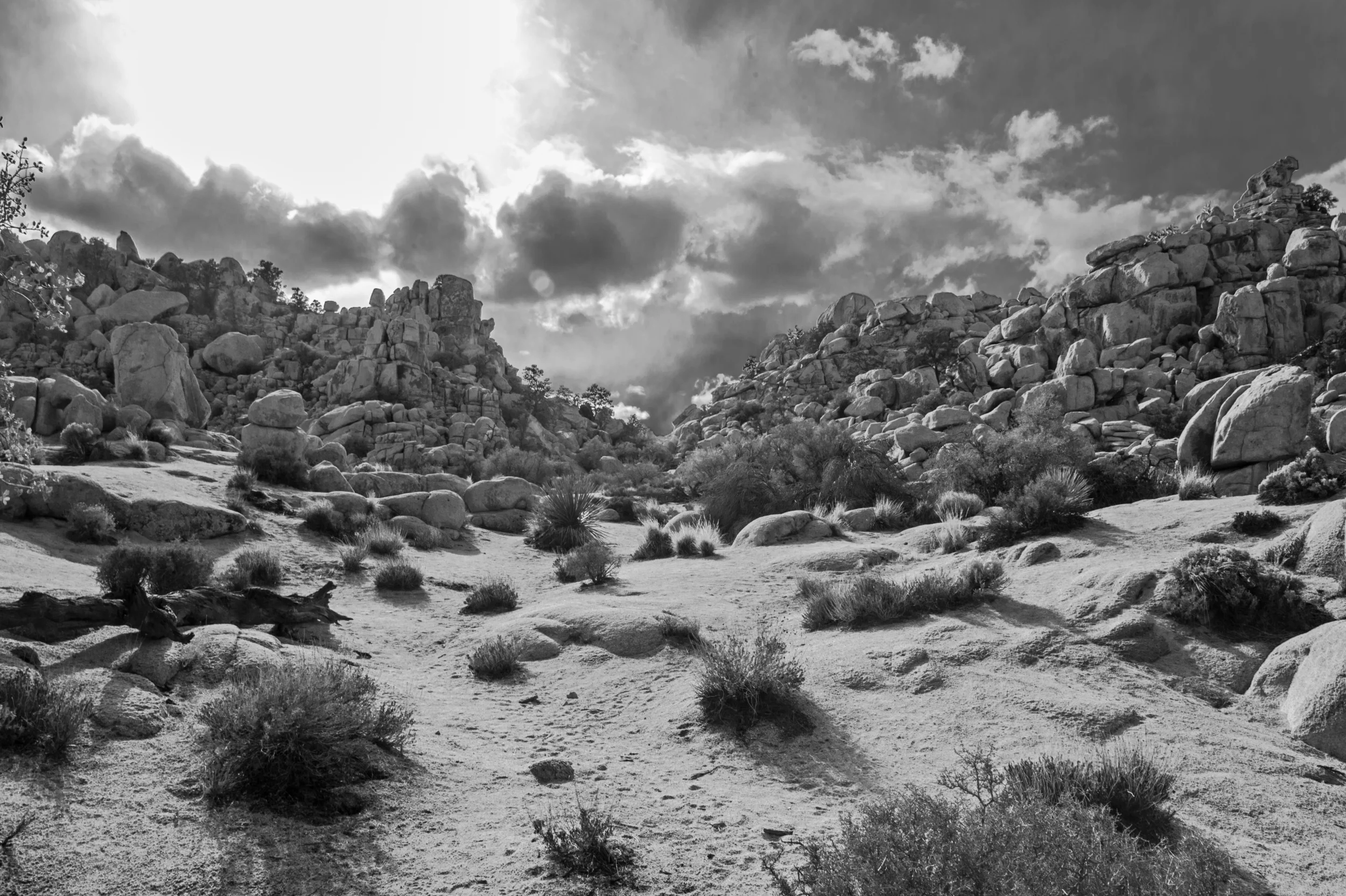 California_desert.jpg