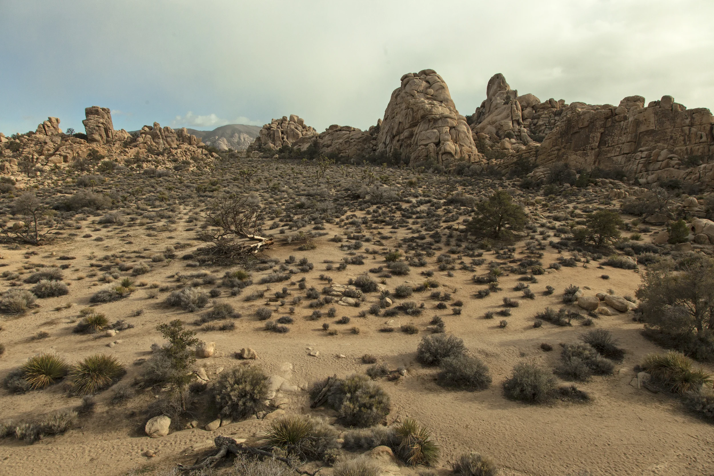 California_desert2.jpg