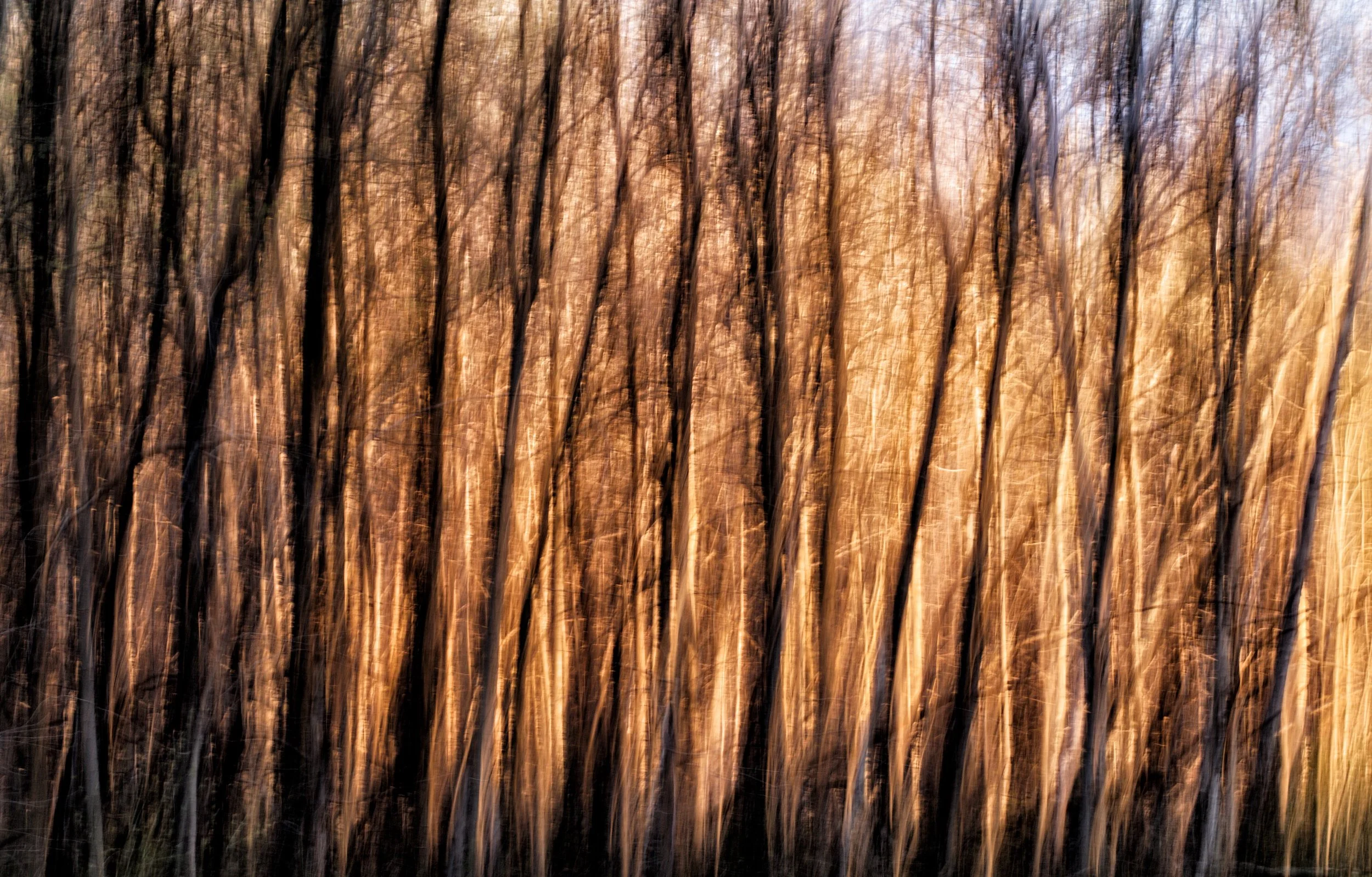 Blurs 2.jpg