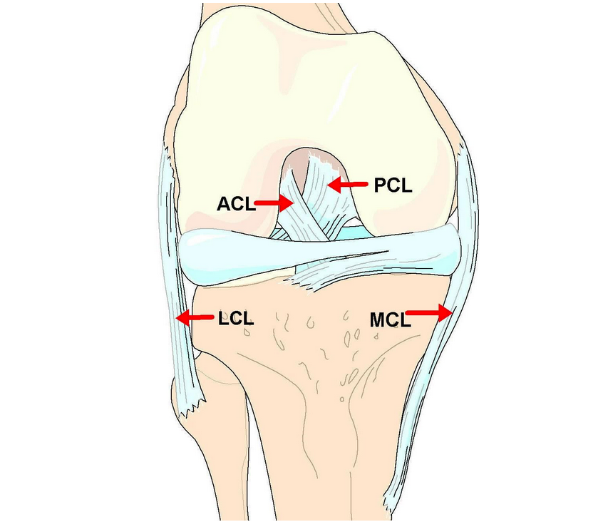 Acl что это