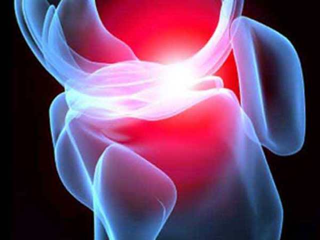 The Million Dollar Question: Why The Heck Are There Two Types of Cartilage? 