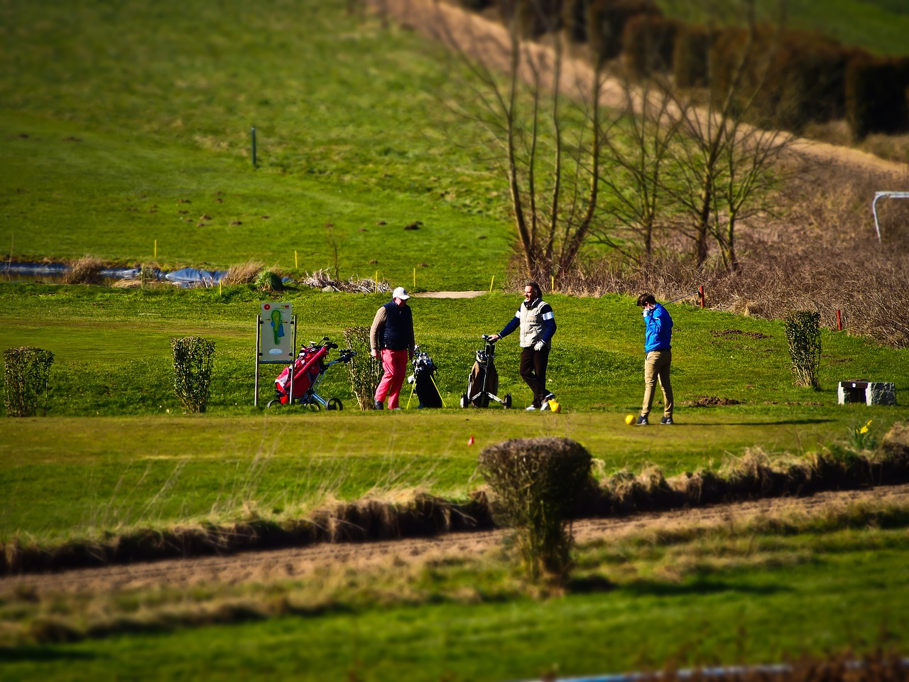 Get on out there and enjoy some golfing with friends.