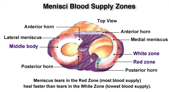 meniscus.png