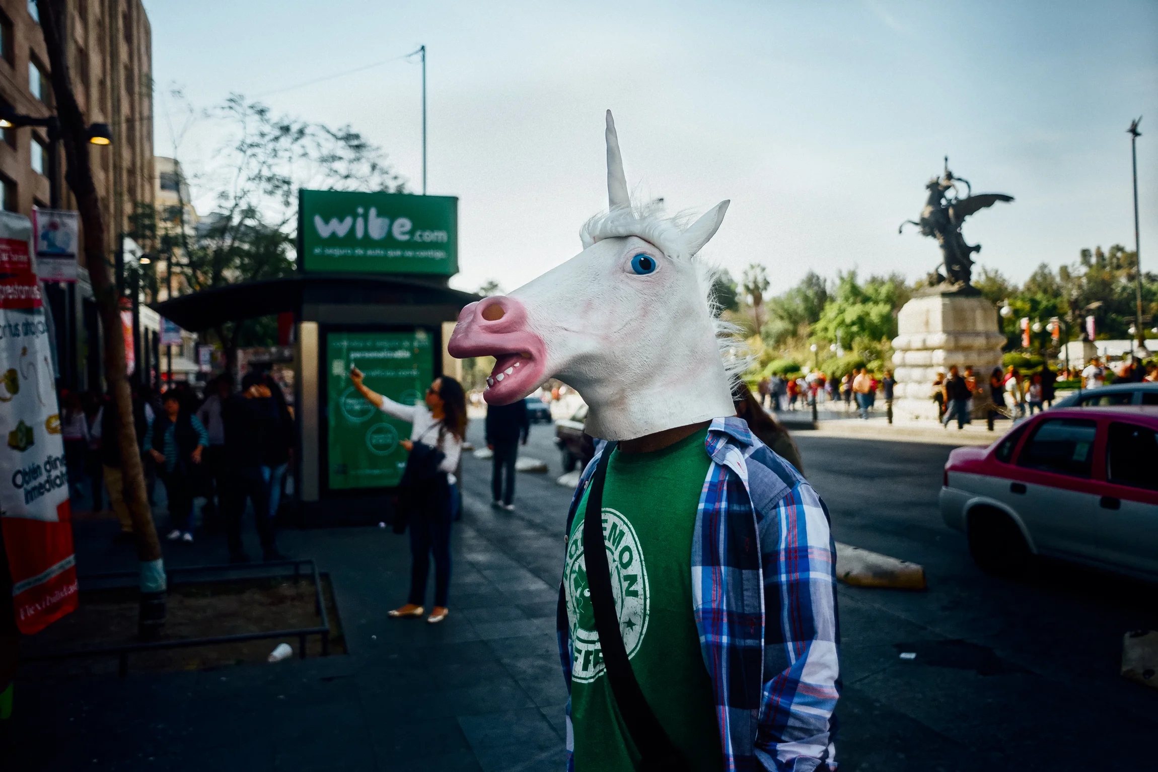 Unicorn Dude