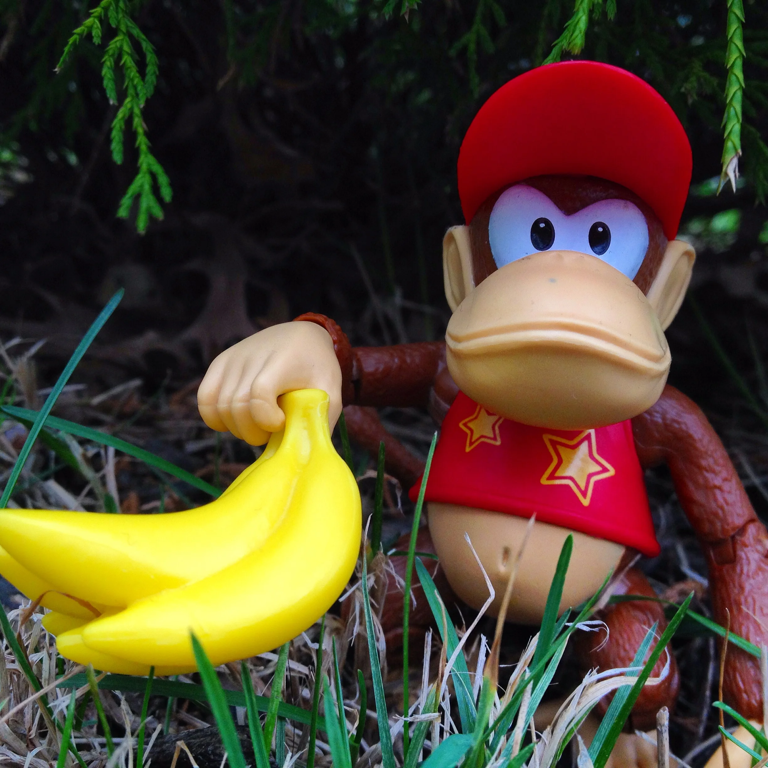 Diddy Kong.JPG