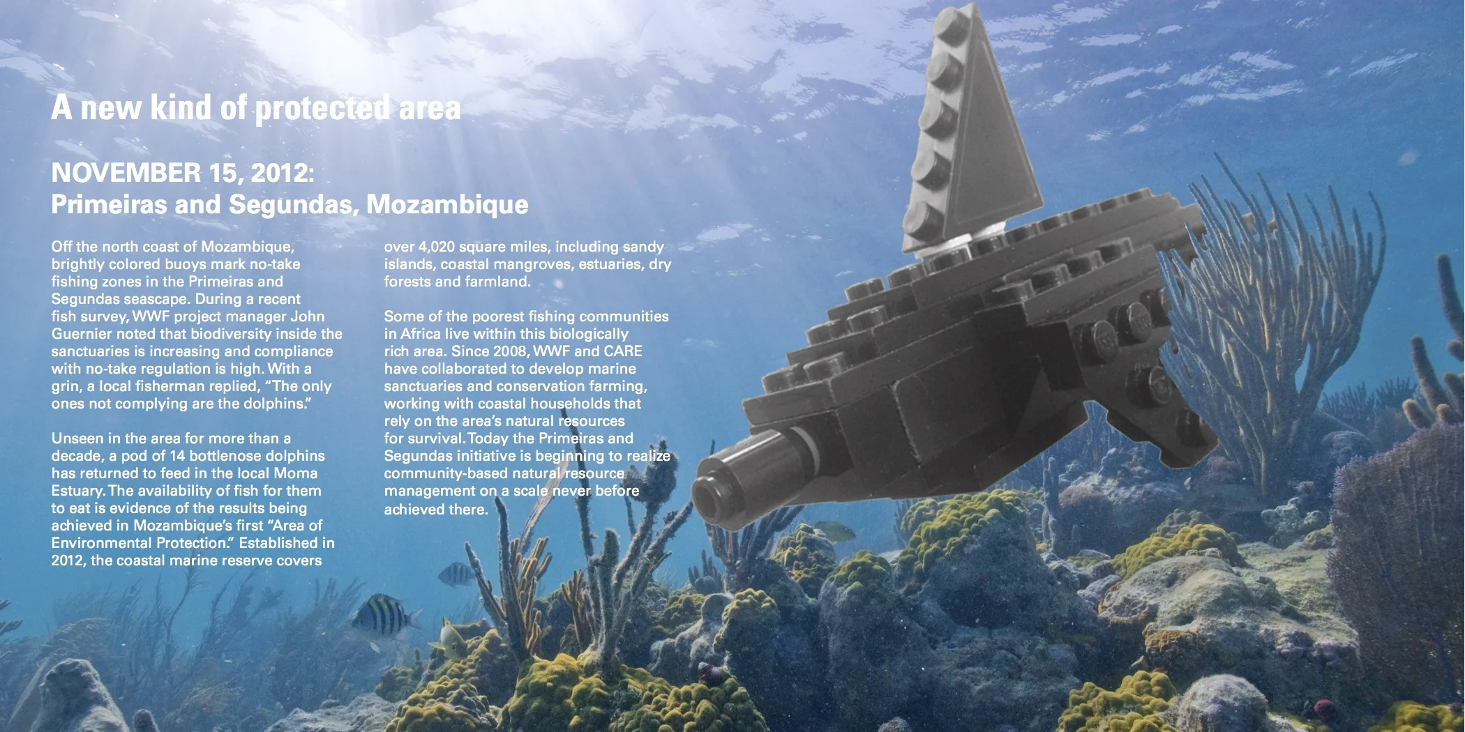 Dolphin.jpg